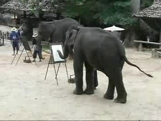 Elephant Painting @Chiangmai
