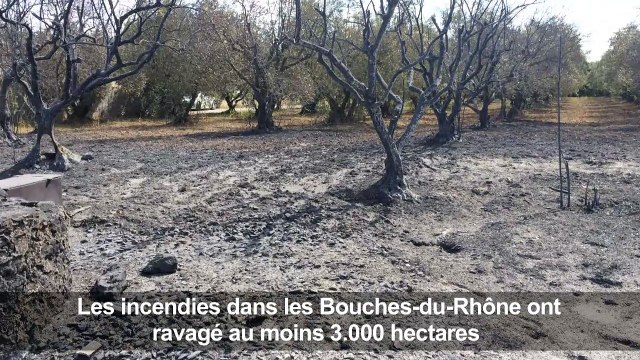 Bouches-du-Rhône: Vitrolles touchée par les incendies