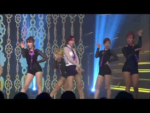 레인보우 블랙 Cha Cha 쇼챔피언 94회