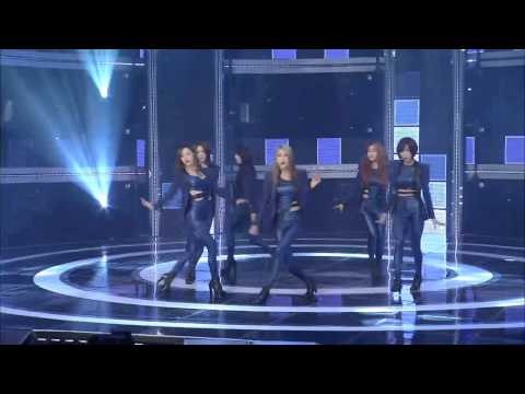 달샤벳 B B B 쇼챔피언 92회