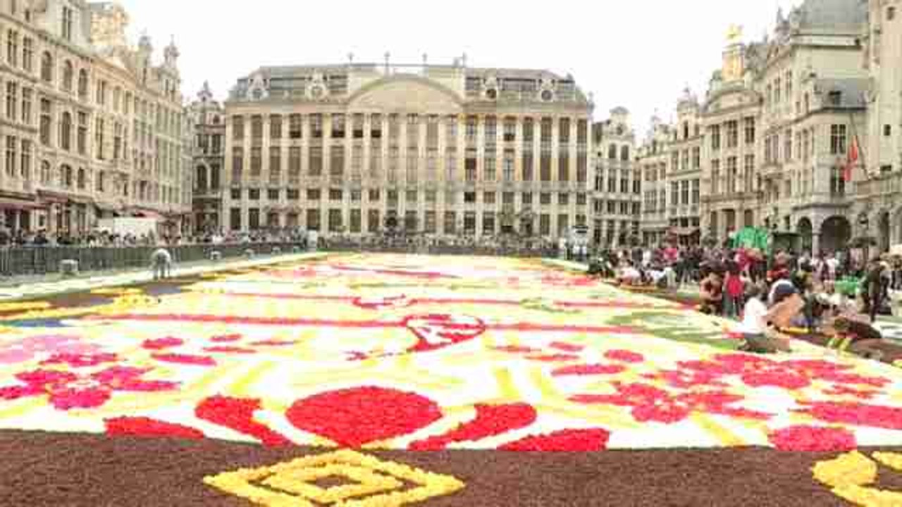 Japón protagoniza el vigésimo tapiz floral en la Grand Place de BruselasJapón protagoniza el vigésimo tapiz floral en la Grand Place de Bruselas