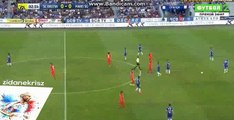 Hatem Ben Arfa Incredible Elastico Skills HD - Bastia vs PSG - Ligue 1 - 12/08/2016