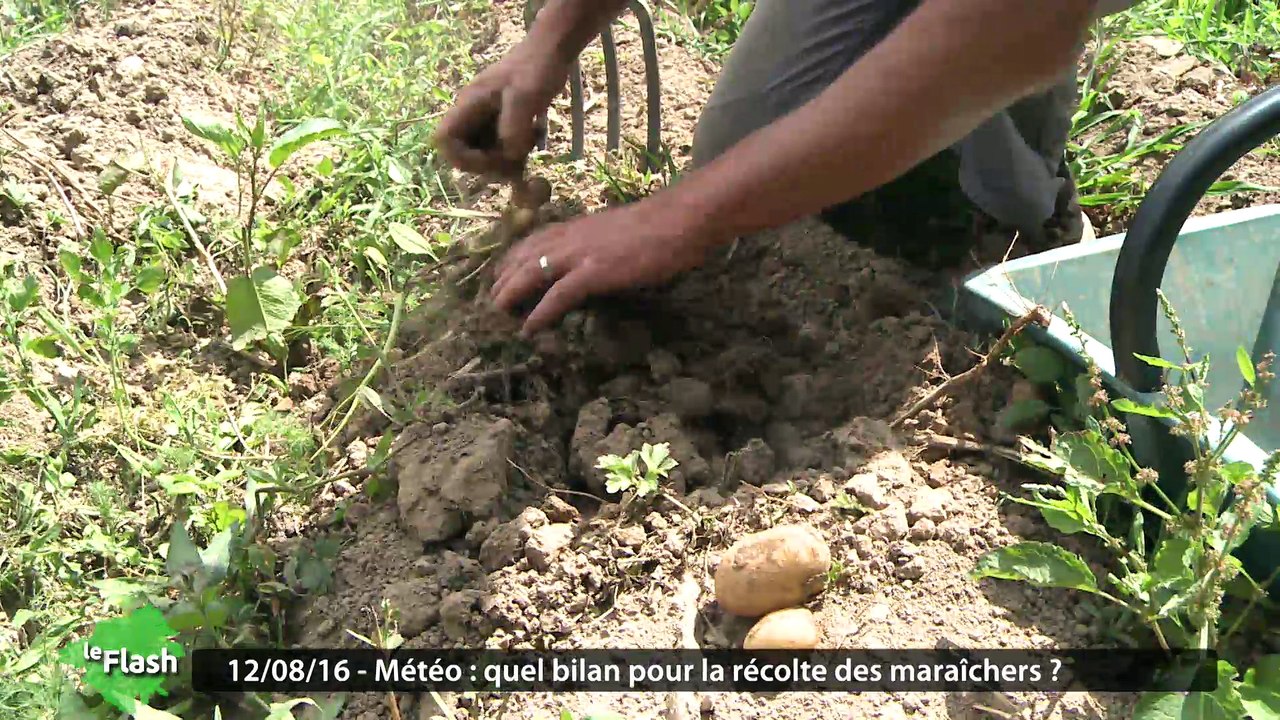 Le Flash du vendredi 12 août