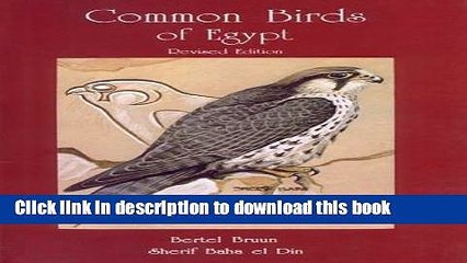 [Download] Common Birds of Egypt Kindle Free