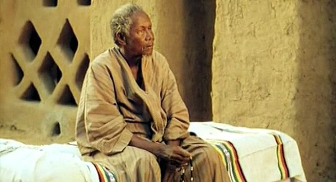 La vie sur terre