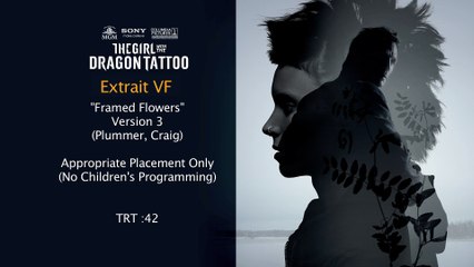 Millenium : Les Hommes qui n&#039;aimaient pas les femmes VF - Ext