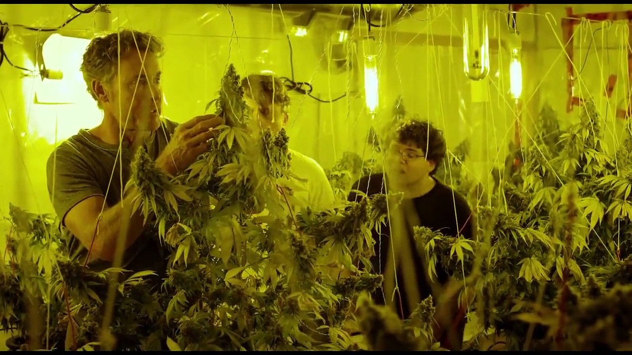 Kid Cannabis - Extrait (2)  VO