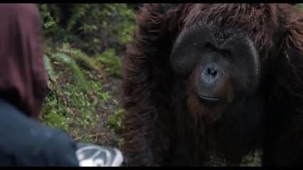 La Planète des Singes : l'Affrontement - Extrait  VO