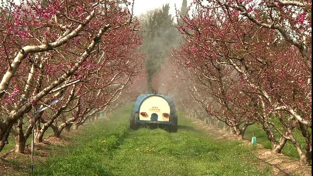 Les Petits Gars de la Campagne - VF