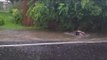 Louisiana Resident Swims Through Floodwater Like an Olympian