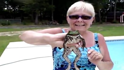 Top Viral Videos November 2015