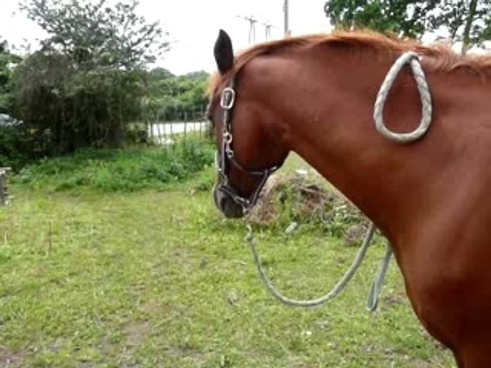Souriiiir -