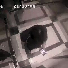 Asansörde Adama Gününü Gösteren Cesur Kadın