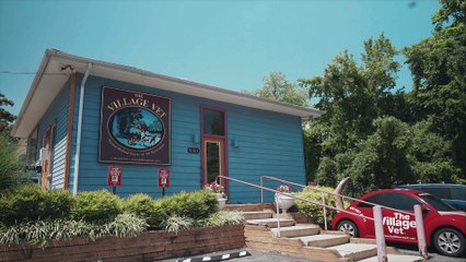 Welcome to The Village Vet-Baltimore Animal Hospital