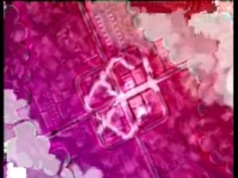 Nevada Tan - Vorbei VIVA Live