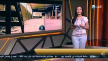 برنامج النشرة الفنية | 2016.8.12