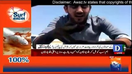 Punjab Trafic Police  Exposed