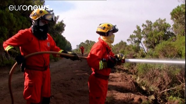 Feuer im Südwesten Europas: Portugal, Spanien und Frankreich kämpfen gegen Flammen