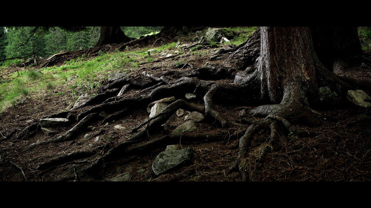Youth - Extrait