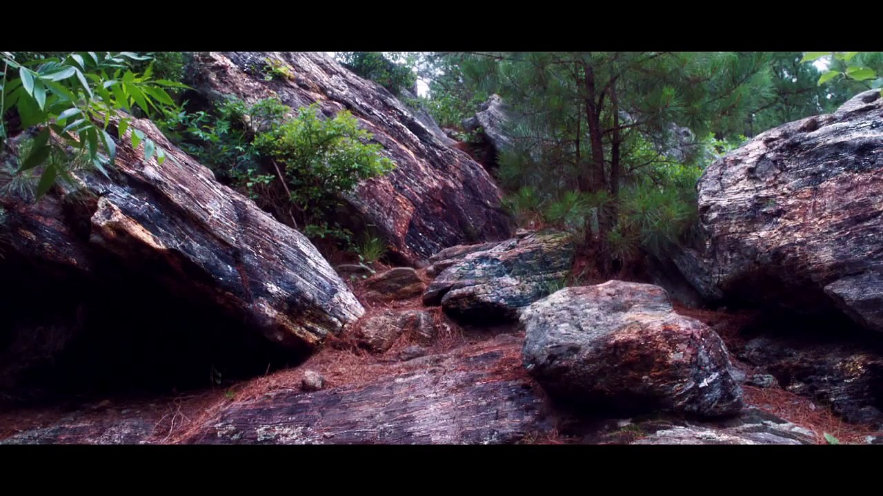 Randonneurs Amateurs - Extrait VO