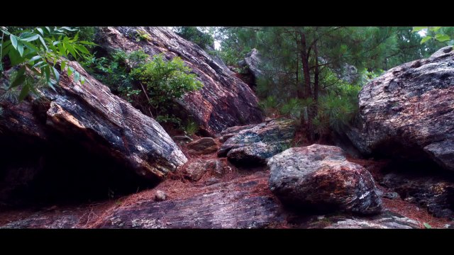 Randonneurs Amateurs - Extrait VO