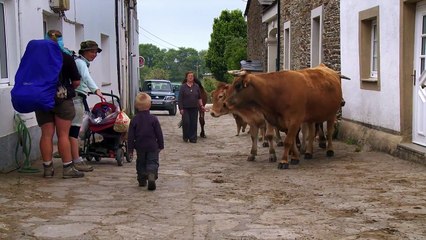 Les Chemins de Compostelle - Extrait (5)