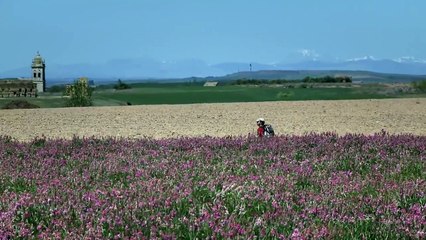 Les Chemins de Compostelle - Extrait (2) VF
