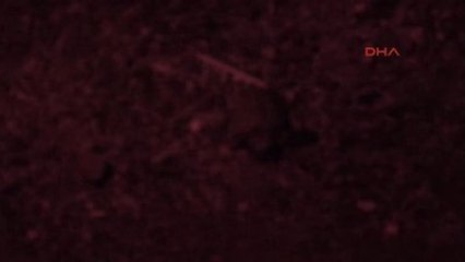 Muğla Hayat Denizle Buluştu