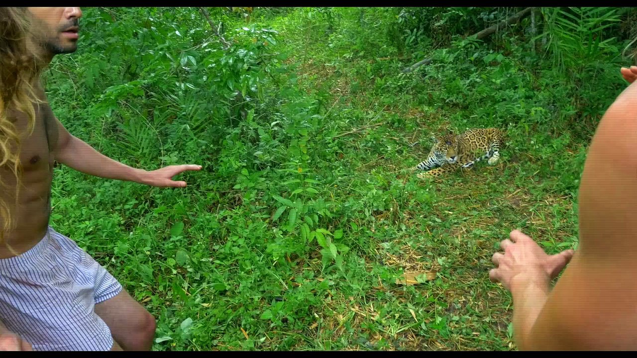 Babysitting 2 - Extrait