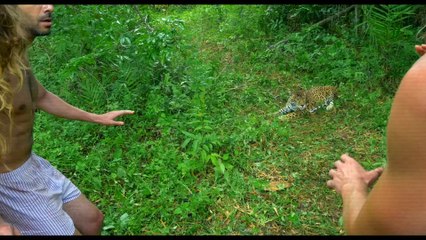 Babysitting 2 - Extrait