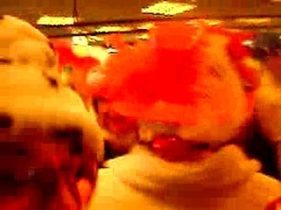Carnaval dunkerque au Macdo