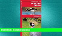 READ BOOK  African Birds: A Folding Pocket Guide to Familiar Species (Pocket Naturalist Guide
