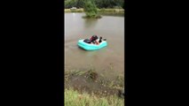 Dog gets blindsided by epic slip 'n slide tube