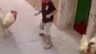 funny kid fight