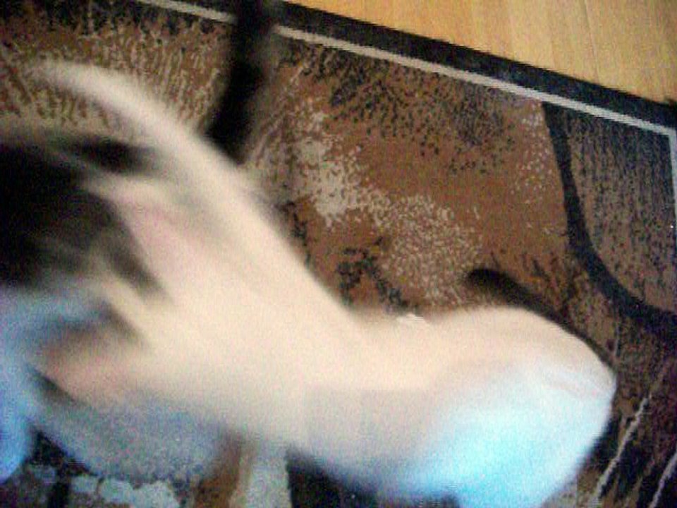 Harvey und Vinzent am 12.08.2016