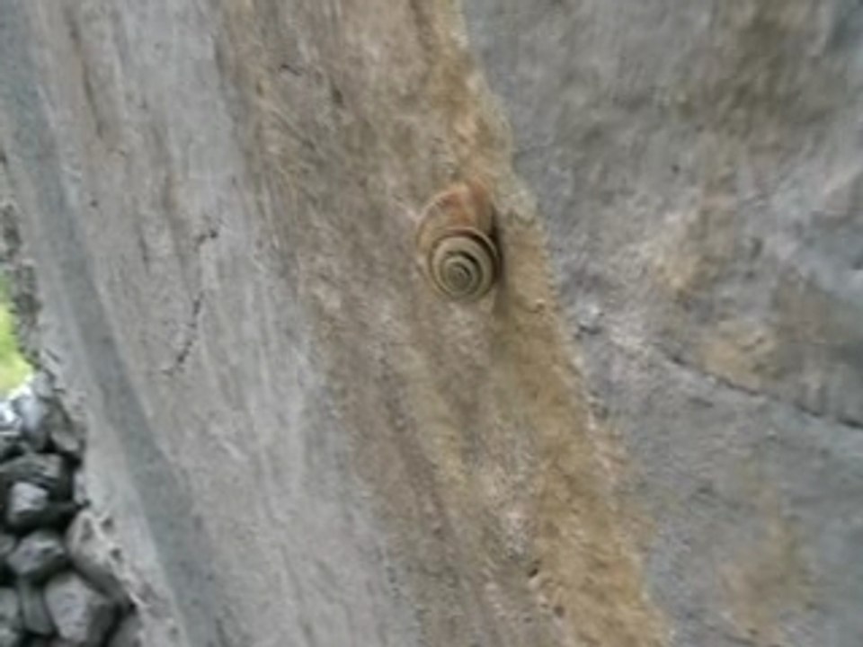 "l'escargot" 9C+ à Ansabère
