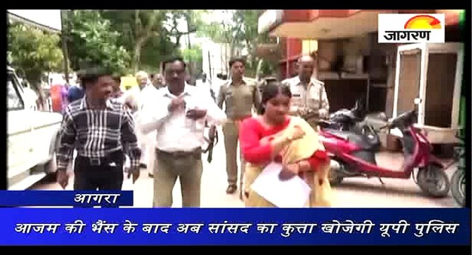 Exclusive आजम की भैंस के बाद अब सांसद का कुत्ता खोजेगी यूपी पुलिस
