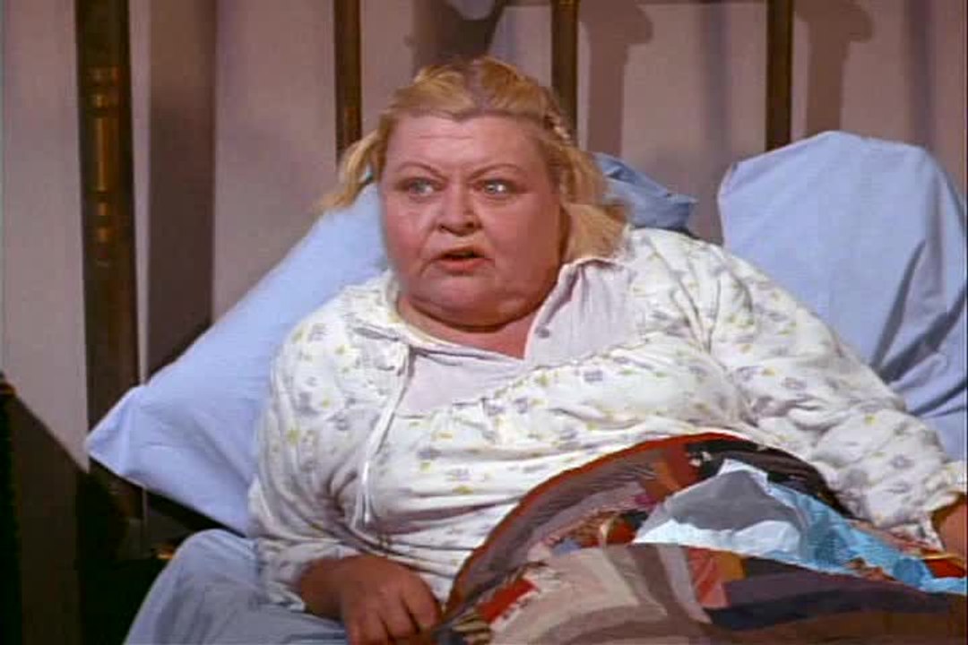 Green Acres - S 1 E 9 - You Can't Plug In A 2 with a 6