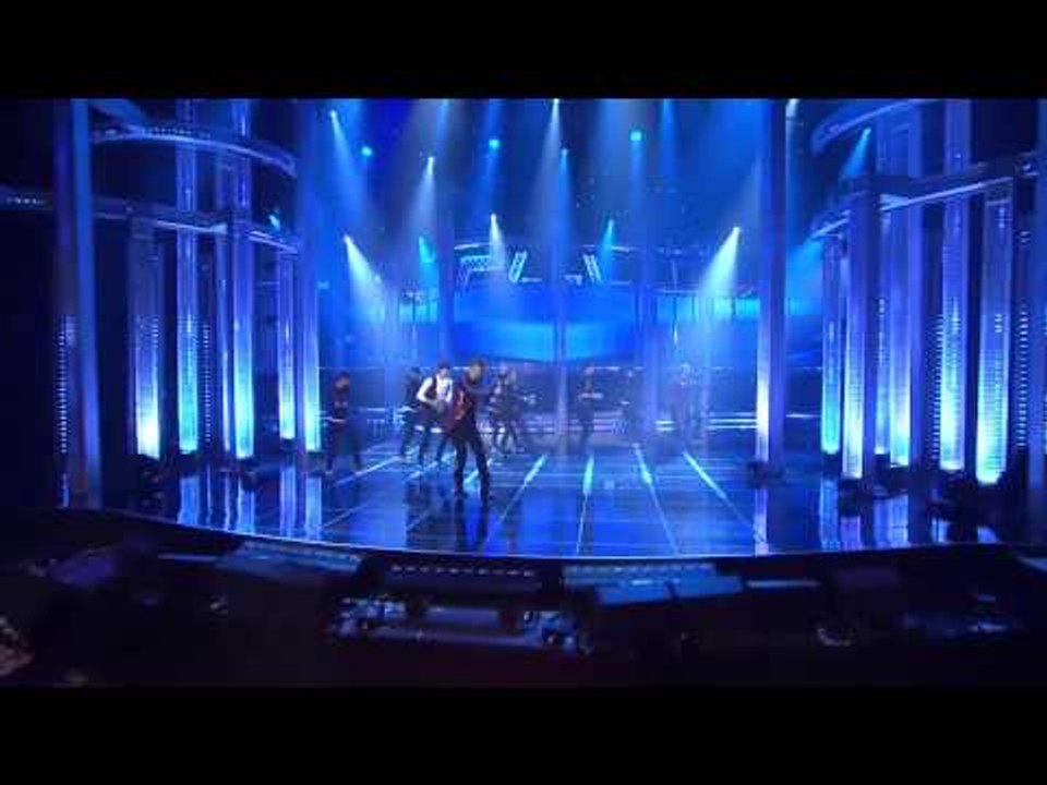 SC 오션 Papillon     쇼챔피언 9회