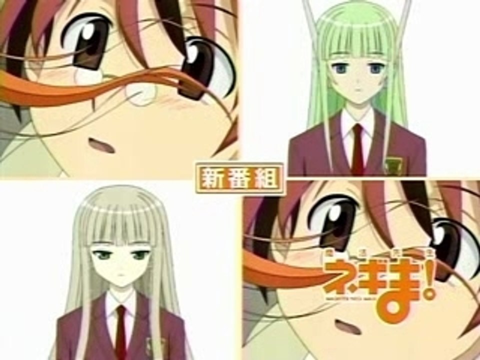 Negima - preview