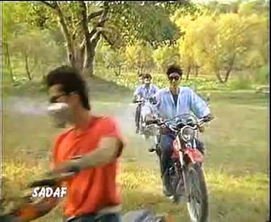 DIL DIL PAKISTAN