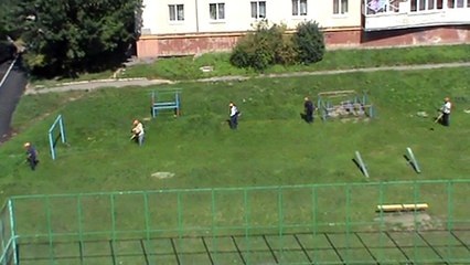 Мужики косят траву во дворе
