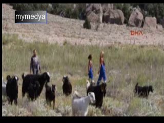 Üniversiteli kızlar çoban oldu