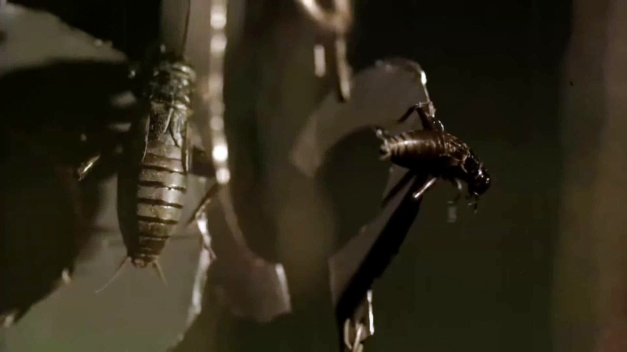 AHS T.6 Teasers #7-8-9