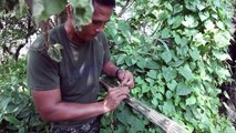 US Marines Train to Survive in the Jungle - Creating Weapons  Cooking Snake Etc...