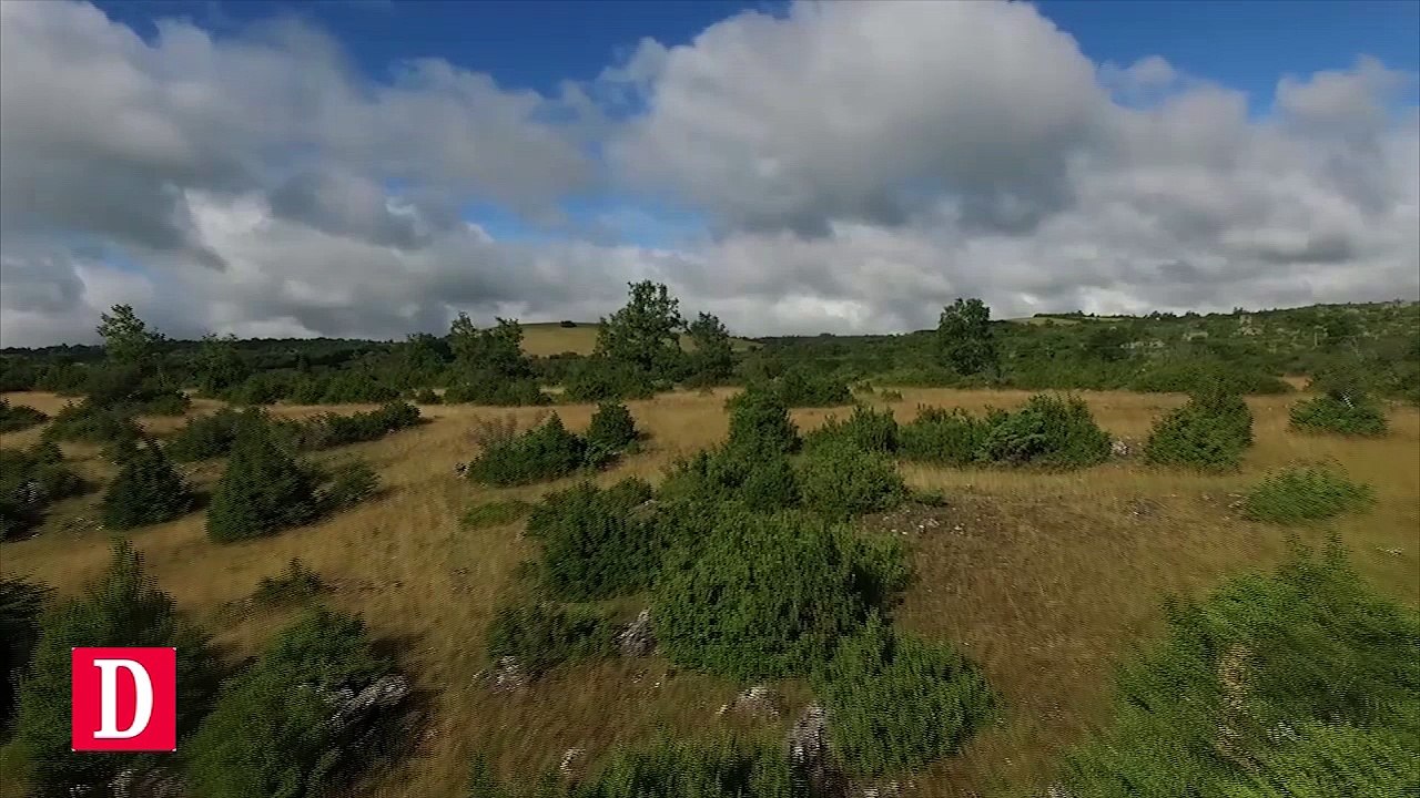 Teknival : les images de la "teuf" à Millau