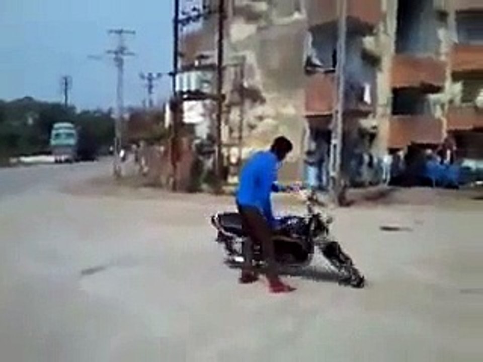 Motor Şov'a dalan inek
