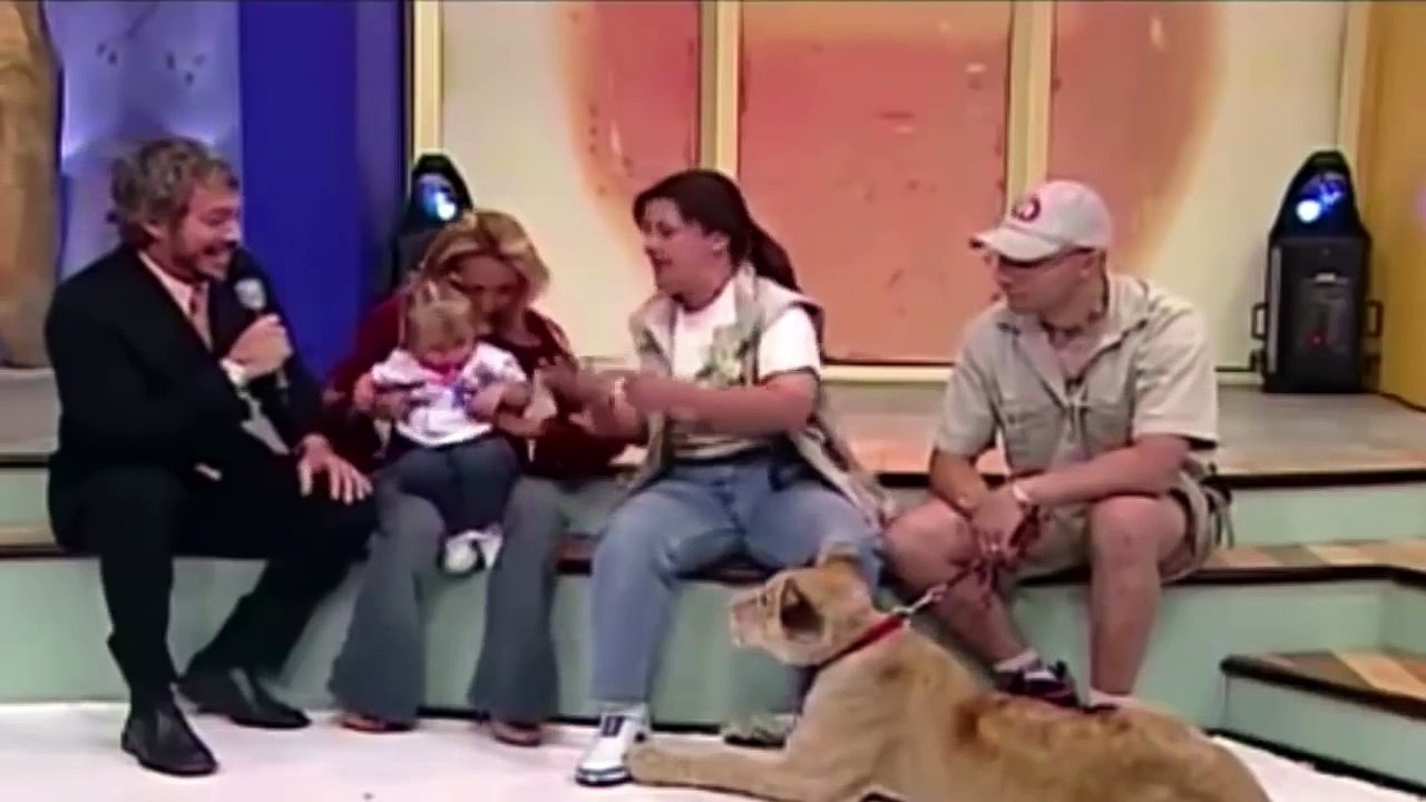 lion tries to kill baby on live TV but mother just laughs