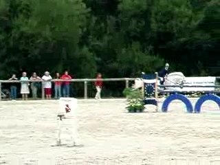 dexter au championnat d'europe de saumur