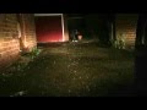 Fireworks bonfire night 2015